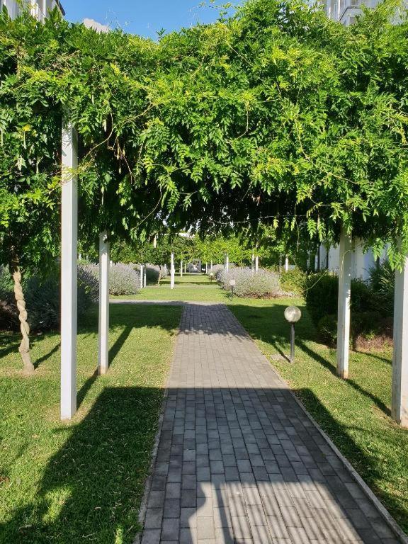 Milano Malpensa Grandi Mansarda Attico Apartment Gallarate Luaran gambar
